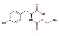 N-Glycyl-L-tyrosine, 98%, Thermo Scientific Chemicals