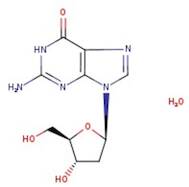 2'-Deoxyguanosine monohydrate, synthetic, 98+% (dry basis), Thermo Scientific