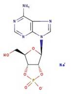 Adenosine-2',3'-cyclic monophosphate sodium salt