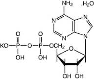 Adenosine-5'-diphosphate monopotassium salt dihydrate