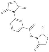 N-Succinimidyl 3-maleimidobenzoate