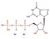 Guanosine-5'-triphosphate disodium salt