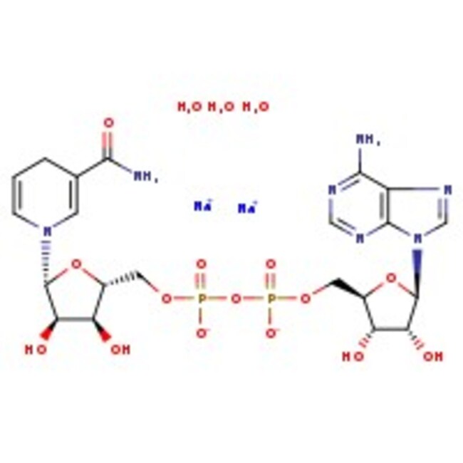 β-Nicotinamide adenine dinucleotide reduced disodium salt trihydrate, 98%