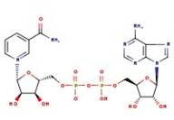 beta-Nicotinamide adenine dinucleotide