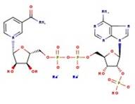 beta-Nicotinamide adenine dinucleotide phosphate disodium salt, 97%