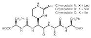 Chymostatin