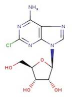 2-Chloroadenosine, Thermo Scientific Chemicals