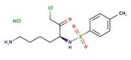 Nα-(p-Toluenesulfonyl)-DL-lysine chloromethyl ketone hydrochloride, 98%