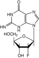 2'-Fluoro-2'-deoxyguanosine, 99%
