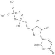 Uridine-5'-diphosphate disodium salt, 98%