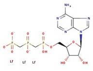 Adenosine-5'-diphosphate trilithium salt