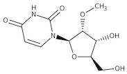 2'-O-Methyluridine, 99%
