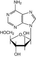 9-beta-D-Arabinofuranosyladenine, 99%, Thermo Scientific Chemicals