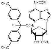 N6-Benzoyl-5'-O-(4,4'-dimethoxytrityl)-2'-O-methyladenosine