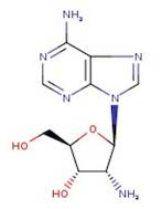 2'-Amino-2'-deoxyadenosine