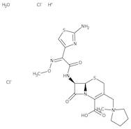 Cefepime hydrochloride monohydrate