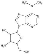 Puromycin aminonucleoside, 98%
