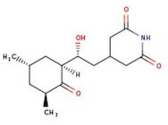 Cycloheximide, ultrapure, 95%