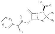 Ampicillin, Ready-to-Use aqueous soln., 100mg/mL, 0.2 micron filtered