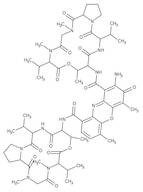 Actinomycin D (1 mg/ml, DMSO)