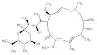 Bafilomycin A1, 0.1 mg/ml in DMSO, sterile-filtered