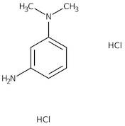 N,N-Dimethyl-m-phenylenediamine dihydrochloride, 99%