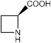 (S)-(-)-Azetidine-2-carboxylic acid, 99%, Thermo Scientific Chemicals