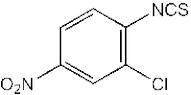 2-Chloro-4-nitrophenyl isothiocyanate, 97%