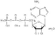 Adenosine-5'-triphosphate disodium salt hydrate, water <10%