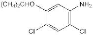 2,4-Dichloro-5-isopropoxyaniline, 98%