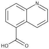 Quinoline-5-carboxylic acid, 97+%