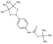 4-(Boc-amino)benzeneboronic acid pinacol ester, 97%