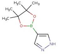 1H-Pyrazole-4-boronic acid pinacol ester, 98%