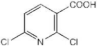 2,6-Dichloronicotinic acid, 97%