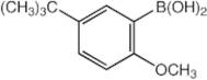 5-tert-Butyl-2-methoxybenzeneboronic acid, 98+%