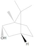 (+)-Borneol 100 µg/mL in Methanol