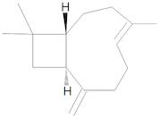 beta-Caryophyllene 2000 µg/mL in Acetonitrile