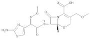 Cefpodoxime 100 µg/mL in Acetonitrile