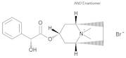 Homatropine methylbromide 100 µg/mL in Acetonitrile