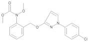 Pyraclostrobin 1000 µg/mL in Toluene