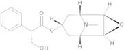 Scopolamine 100 µg/mL in Acetonitrile