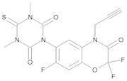 Trifludimoxazin 100 µg/mL in Acetonitrile