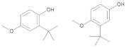 tert-Butyl-4-hydroxyanisole (mixture of 2- and 3-isomer)