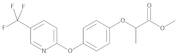 Fluazifop-methyl