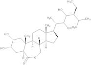 28-Homobrassinolide