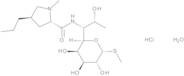 Lincomycin hydrochloride monohydrate