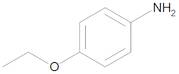 4-Phenetidine