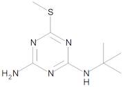 Terbutryn-desethyl