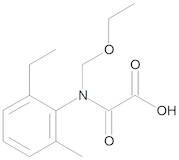 Acetochlor-oxalamic acid (OA)
