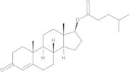 Testosterone 17-isocaproate